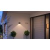 Philips Hue Resonate Outdoor Wall Light LED black, 1-light source, Colour changer