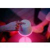 Philips Hue Go Table lamp LED green, white, 1-light source, Colour changer