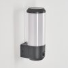 Gondoyer Outdoor Wall Light anthracite, 1-light source, Motion sensor