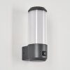 Gondoyer Outdoor Wall Light anthracite, 1-light source, Motion sensor