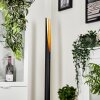 Aleman Floor Lamp LED gold, black, 1-light source