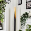 Aleman Floor Lamp LED gold, black, 1-light source