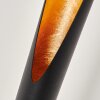 Aleman Floor Lamp LED gold, black, 1-light source