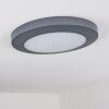 Durivier outdoor ceiling light LED anthracite, 1-light source