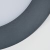 Durivier outdoor ceiling light LED anthracite, 1-light source