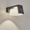 Lafite Solar lights LED anthracite, 1-light source, Motion sensor