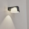 Lafite Solar lights LED anthracite, 1-light source, Motion sensor