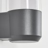 Gondoyer Outdoor Wall Light anthracite, 1-light source