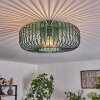 Wemude Ceiling Light green, 1-light source