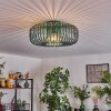 Wemude Ceiling Light green, 1-light source