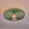 Oravi Ceiling Light green, 1-light source