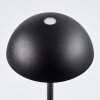 Pelaro Table lamp LED black, 1-light source