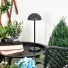 Pelaro Table lamp LED black, 1-light source