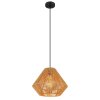 Globo HOUDINI Pendant Light black, 1-light source