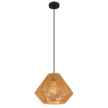 Globo HOUDINI Pendant Light black, 1-light source