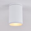 AGUA Ceiling Light white, 1-light source