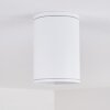 AGUA Ceiling Light white, 1-light source
