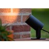 Lucide TAYLOR garden spotlight black, 1-light source, Motion sensor