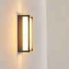 Skove Outdoor Wall Light LED anthracite, 1-light source