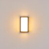 Skove Outdoor Wall Light LED anthracite, 1-light source