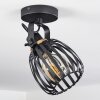 Pocho Ceiling Light brass, black, 1-light source