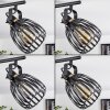 Pocho Ceiling Light brass, black, 2-light sources