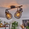 Pocho Ceiling Light brass, black, 2-light sources