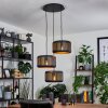 Fournie Pendant Light black, 3-light sources
