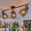 Pocho Ceiling Light brass, black, 3-light sources