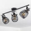 Pocho Ceiling Light brass, black, 3-light sources