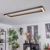 Dubuisson Ceiling Light LED anthracite, 1-light source, Remote control