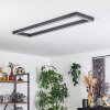 Dubuisson Ceiling Light LED anthracite, 1-light source, Remote control