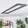 Dubuisson Ceiling Light LED anthracite, 1-light source, Remote control