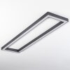 Dubuisson Ceiling Light LED anthracite, 1-light source, Remote control
