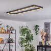 Dubuisson Ceiling Light LED anthracite, 1-light source, Remote control