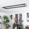 Dubuisson Ceiling Light LED anthracite, 1-light source, Remote control
