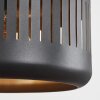 Fournie Pendant Light black, 1-light source