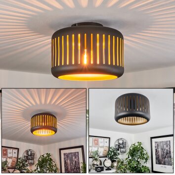 Fournie Ceiling Light black, 1-light source