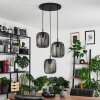 Herrera Pendant Light black, 3-light sources