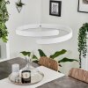 Rosemond Pendant Light LED white, 1-light source