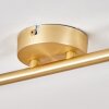 Lisca Pendant Light gold, 4-light sources