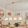 Lisca Pendant Light gold, 4-light sources