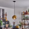 Koyoto Pendant Light glass 25 cm antique brass, 1-light source