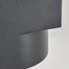 Lolog Outdoor Wall Light anthracite, 2-light sources