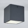Spidern outdoor ceiling light LED anthracite, white, 1-light source
