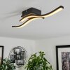 Letala Ceiling Light LED Wood like finish, 2-light sources