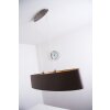 Eglo Maserlo cappuccino hanging light matt nickel, 2-light sources