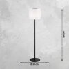SCHÖNER WOHNEN-Kollektion  outdoor floor lamp LED black, 1-light source, Remote control, Colour changer