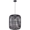 Brilliant Woodrow Pendant Light black, 1-light source