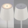 Leuchten-Direkt EURIA Table lamp LED white, 1-light source